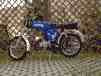 mop010-t.jpg
